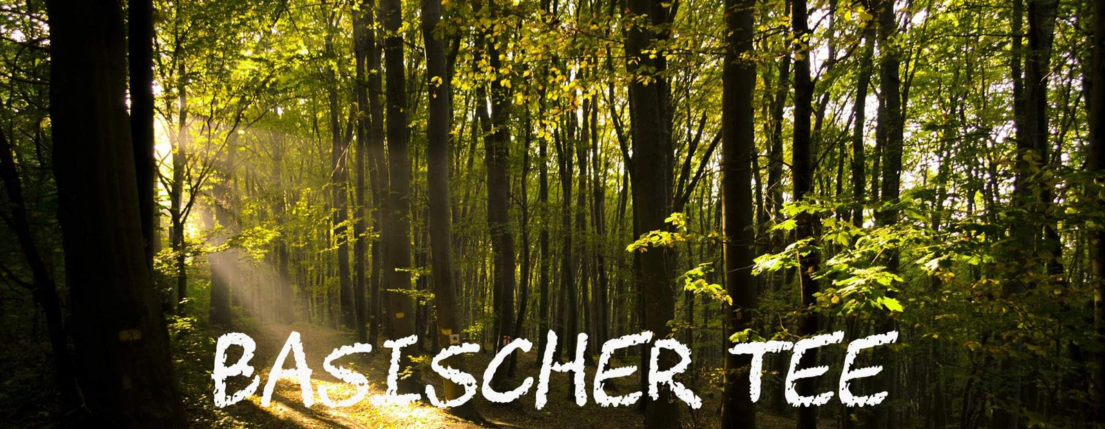 teaandlemon.at-meingenussreich.at-onlineshop-online kaufen-oesterreich-naturbelassen-gesund-immunsystem-teemischungen-basentee-basischer tee