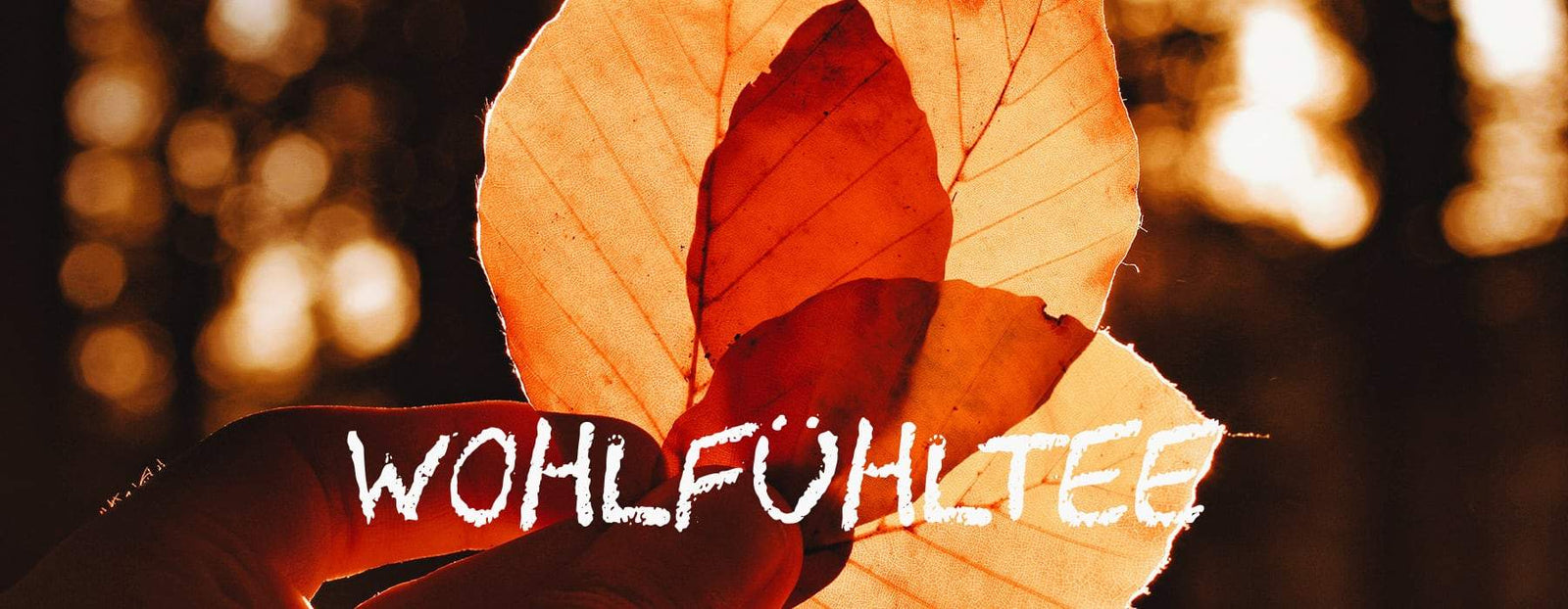 teaandlemon.at-meingenussreich.at-onlineshop-online kaufen-oesterreich-naturbelassen-gesund-immunsystem-teemischungen-wohlfühltee