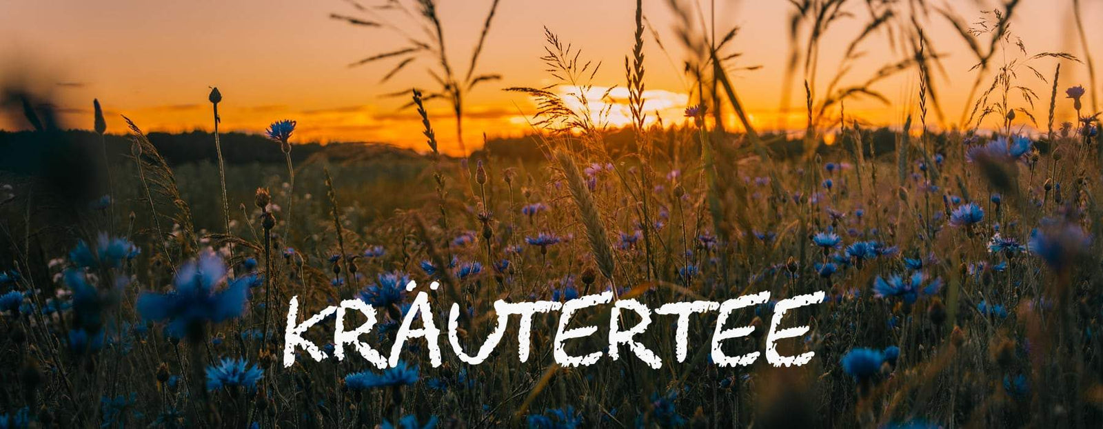 teaandlemon.at-meingenussreich.at-onlineshop-online kaufen-oesterreich-naturbelassen-gesund-immunsystem-teemischungen-kräutertee-kräuter tee