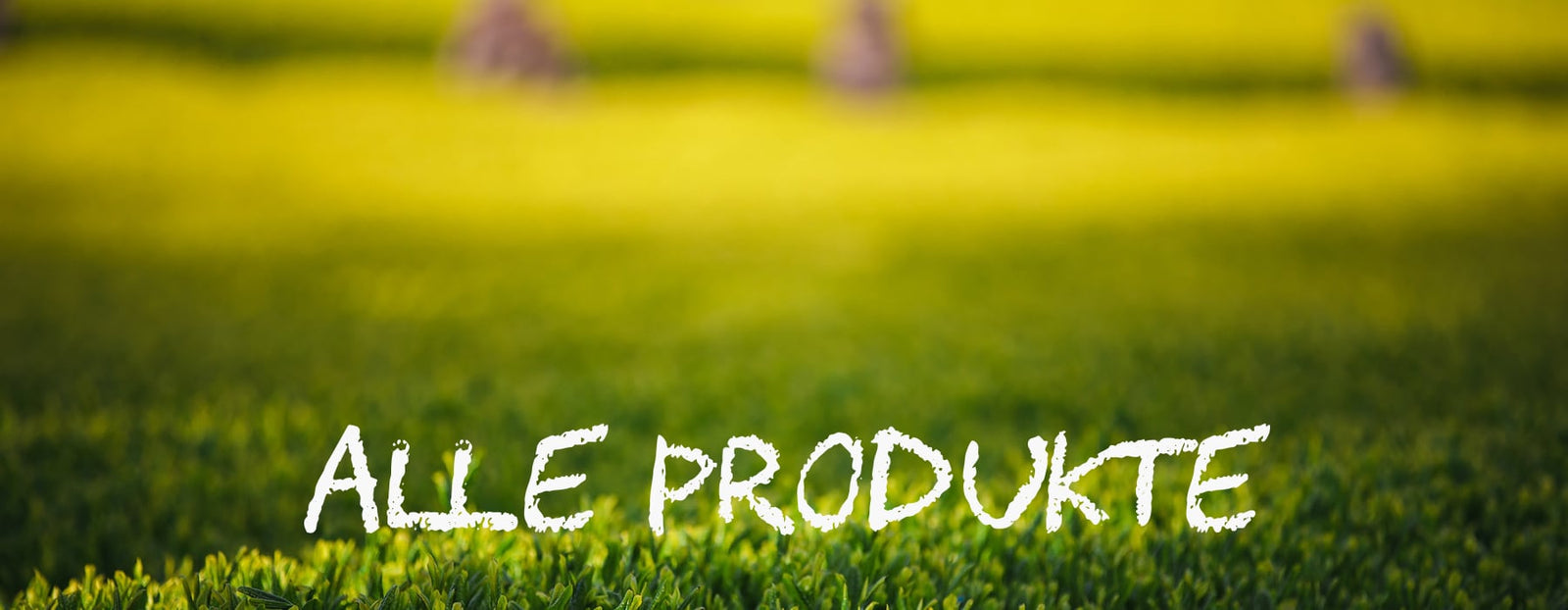 teaandlemon.at-meingenussreich.at-onlineshop-online kaufen-oesterreich-naturbelassen-gesund-immunsystem-header-alle Produkte