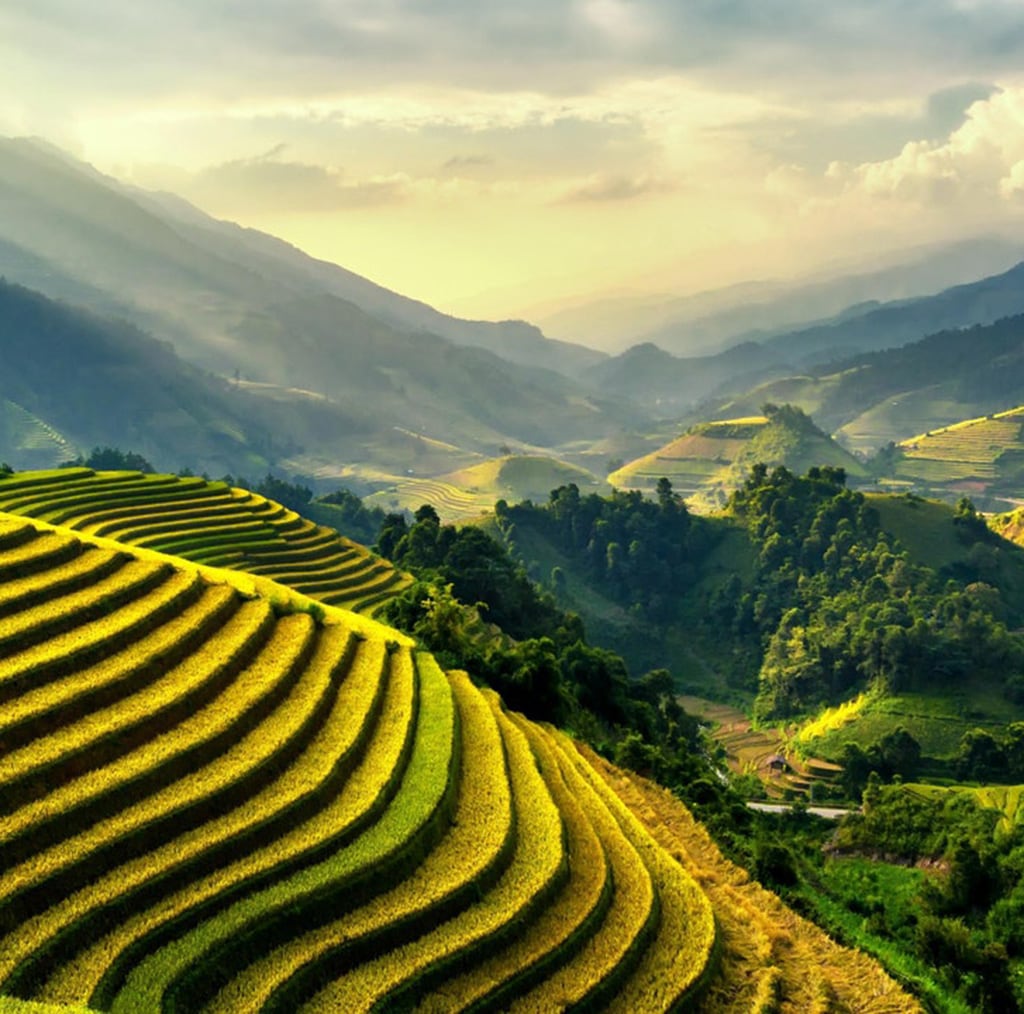 teaandlemon.at-meingenussreich.at-onlineshop-online kaufen-österreich-naturbelassen-gesund-immunsystem-teemischungen-gewürztee-früchtetee-kräutertee-schwarztee-grüntee-roiboosh-rotbushtee-basischer tee-basentee-eistee-wohlfühl tee-schwarzer tee-grüner tee